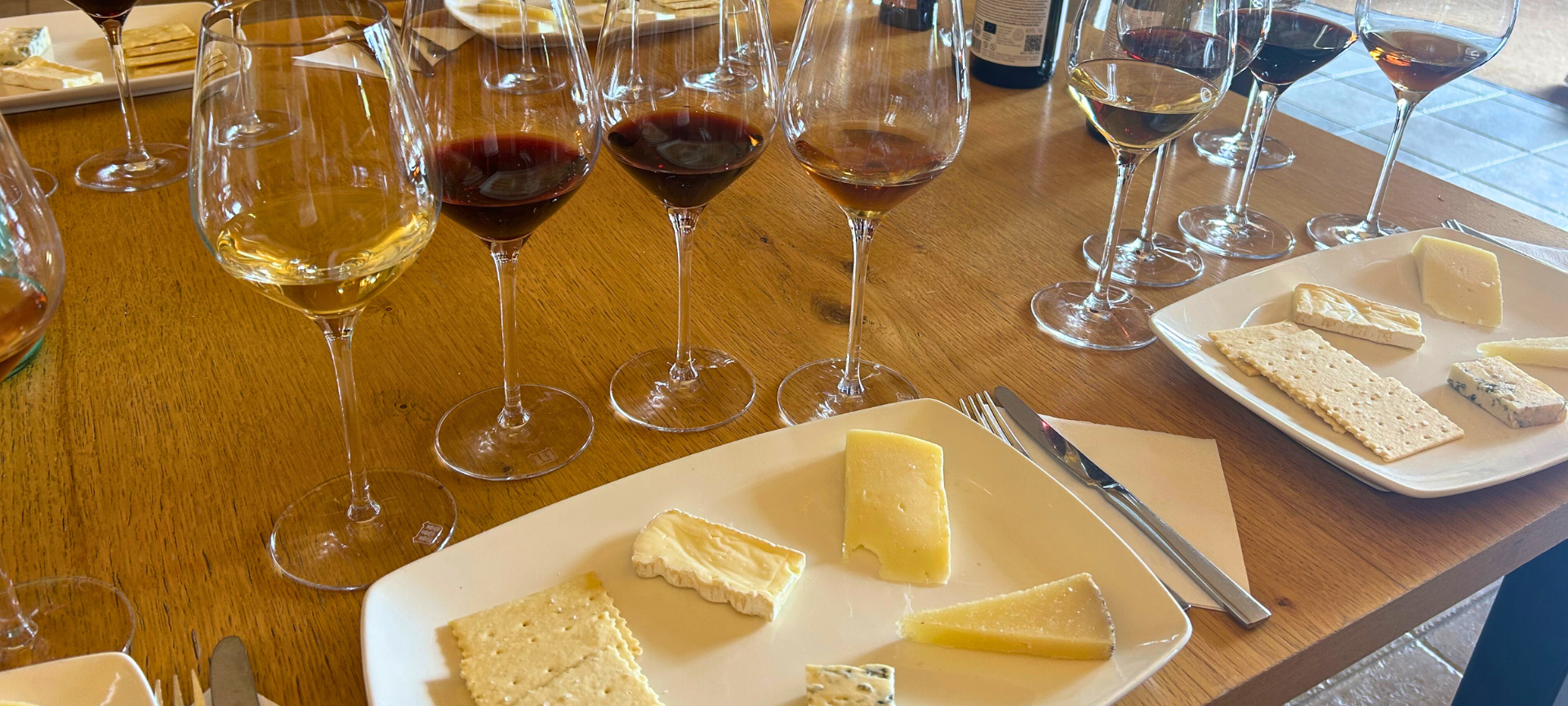 Marina Port Vell guests enjoying wine and cheese during the Familia Torres experience